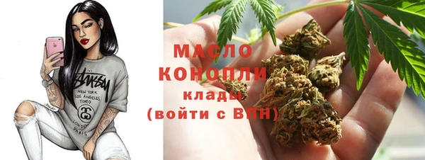 мет Ладушкин