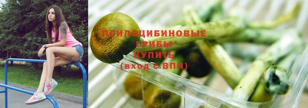 твердый Лагань