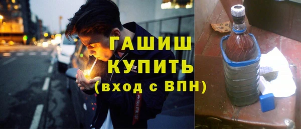 шишки Лабытнанги