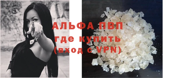 шишки Лабытнанги