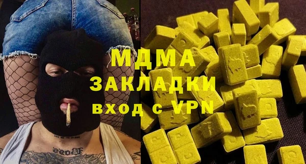 шишки Лабытнанги