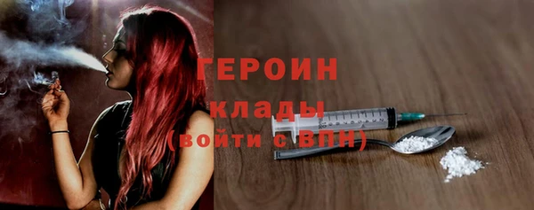 шишки Лабытнанги
