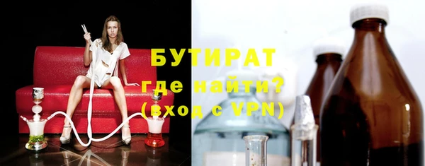 шишки Лабытнанги