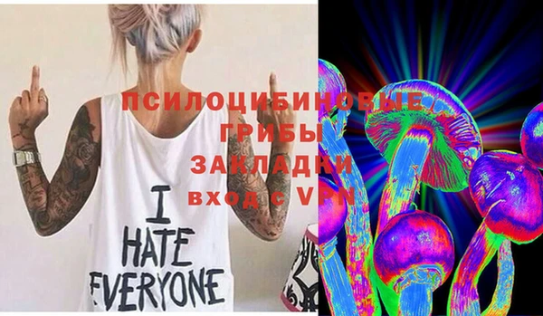 мет Ладушкин