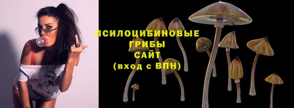 мет Ладушкин